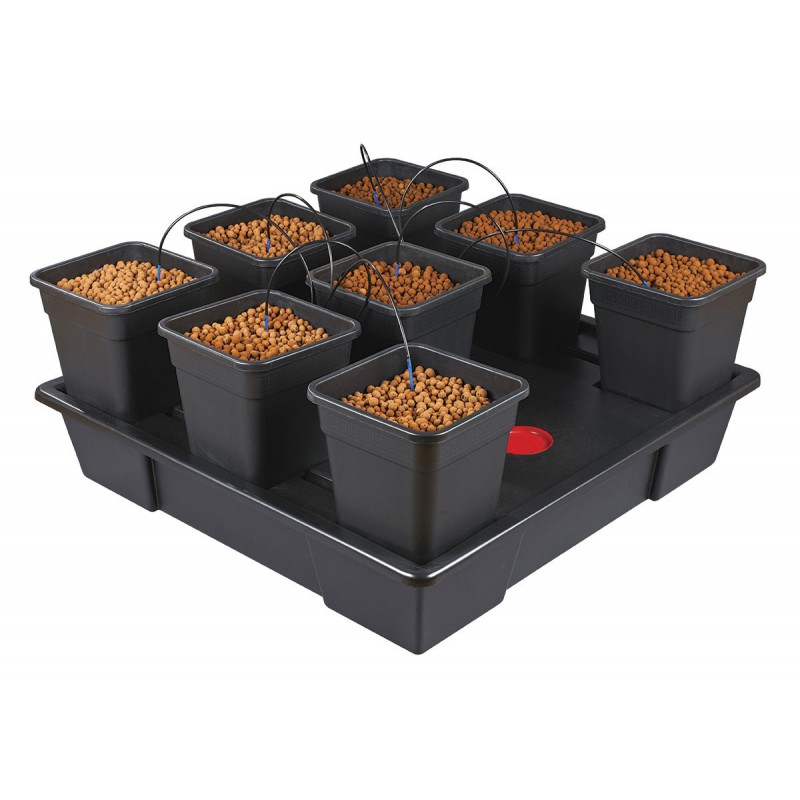 WILMA 10 Plantes Pots 6.5 Litres