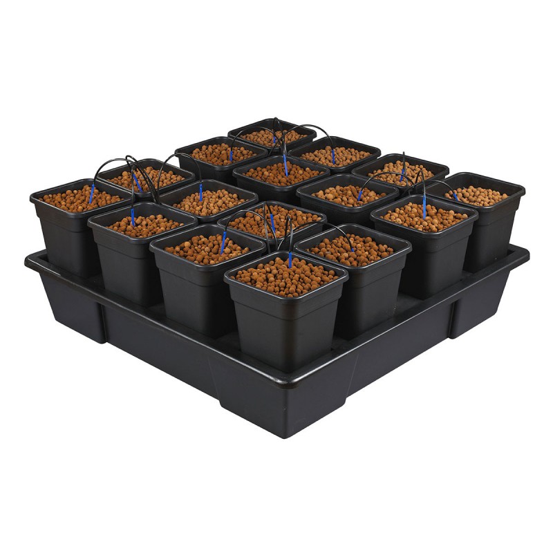 WILMA 16 Plantes Pots 11 Litres