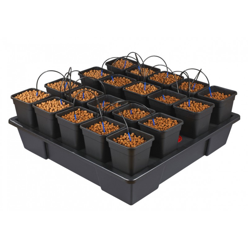 WILMA 20 Plantes Pots 6.5 Litres