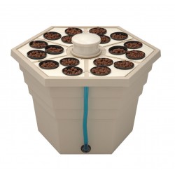 Rainforest 3" GHE 18 Pots