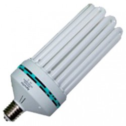CFL 300w Croissance
