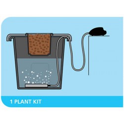 Aeros DWC PLANT!T 2