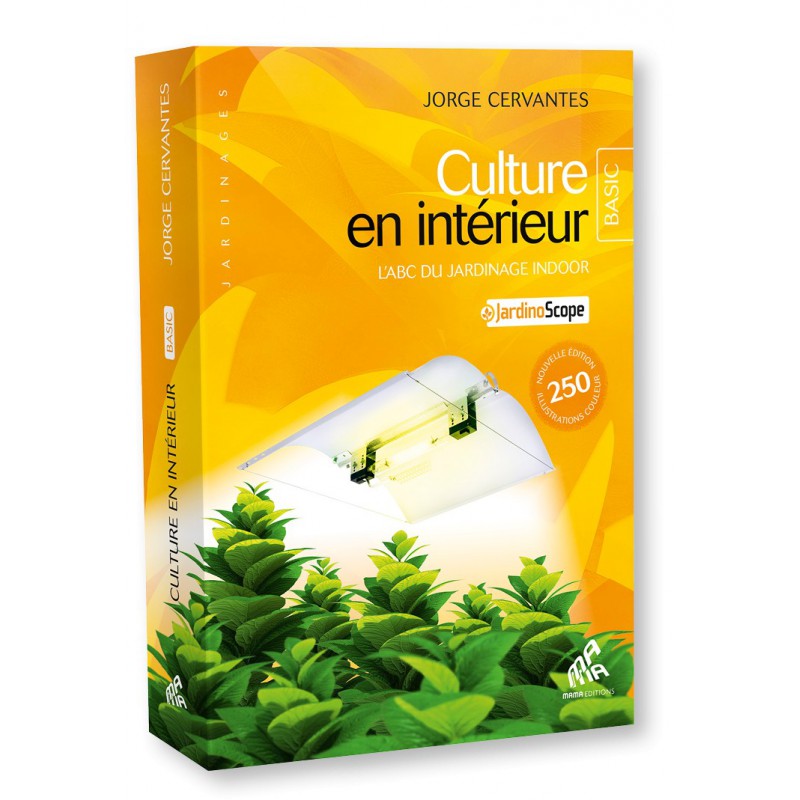 Culture Interieur Basic Georges Cervantes