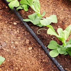 IRRIGATIA Kit D'extension Seep Hose 2