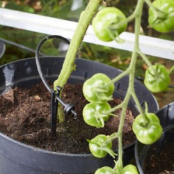 IRRIGATIA Kit D'extension 12 Goutteurs 2