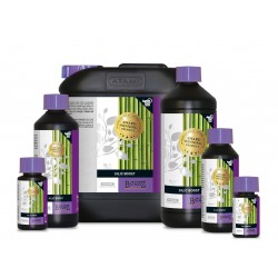 Atami B'Cuzz Silic Boost 50ml