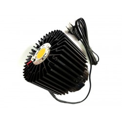 TODOGROWLED STAR 60/3590 2