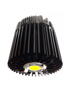 TODOGROWLED TGL STAR 100 2