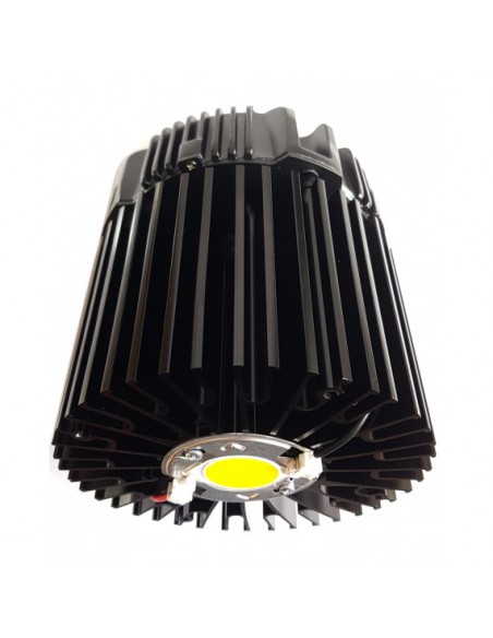 TODOGROWLED TGL STAR 100
