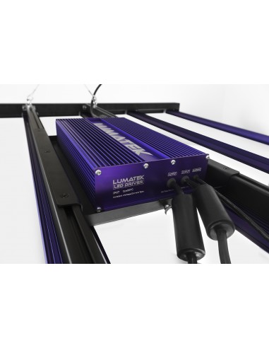 LUMATEK - ZEUS 600w PRO