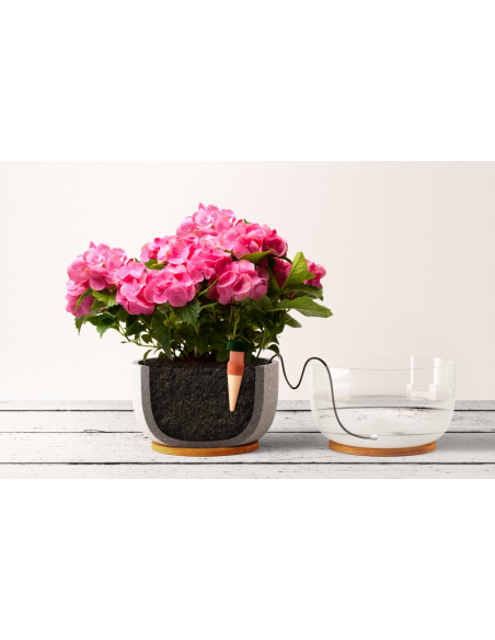 Blumat XL Houseplant x 2