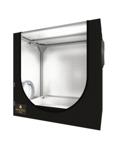 Dark Propagator - 60 x 40 x 60 cm