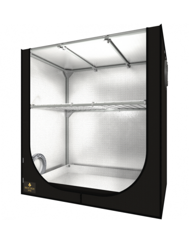 Dark Propagator / 90 X 60 X 60 cm