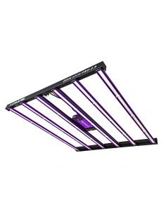 LUMATEK - ZEUS 600w PRO 2.9 2