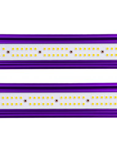 LUMATEK - ZEUS 600w PRO 2.9