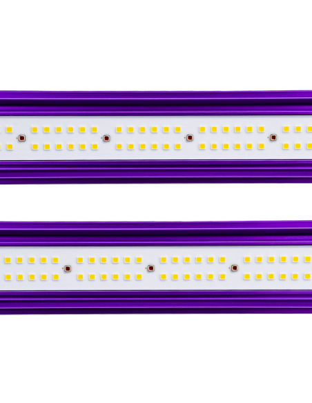 LUMATEK - ZEUS 600w PRO 2.9