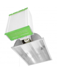 Lumii SOLAR - CMH 315W 2