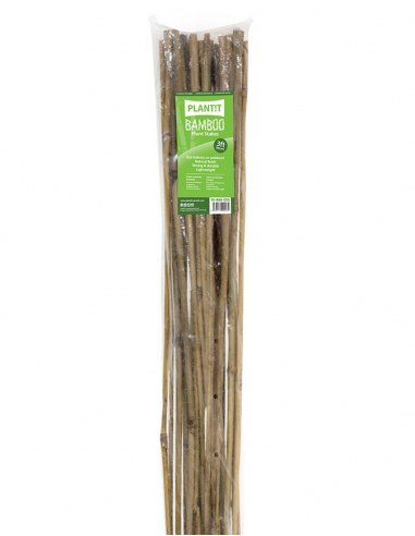 Tuteur - Bamboo 90 cm x 25 unités