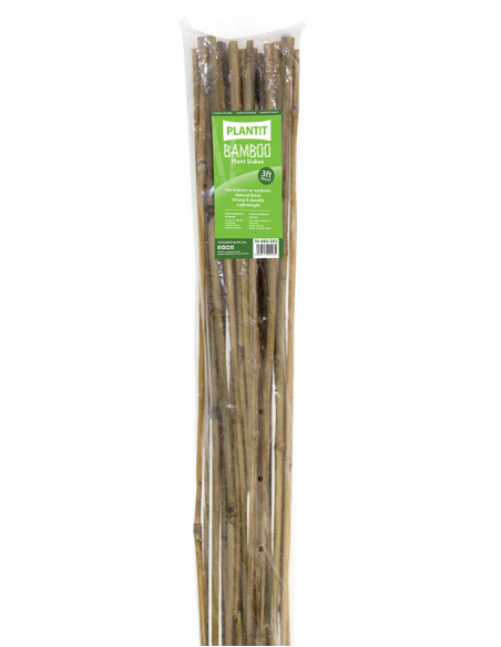 Tuteur - Bamboo 90 cm x 25 unités
