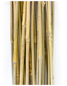 Tuteur - Bamboo 90 cm x 25 unités 2
