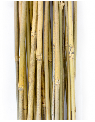 Tuteur - Bamboo 90 cm x 25 unités
