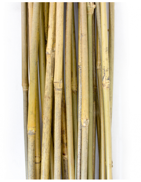 Tuteur - Bamboo 90 cm x 25 unités