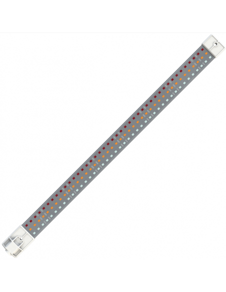 LED - Cosmorrow - Floraison (6500k) - 20W