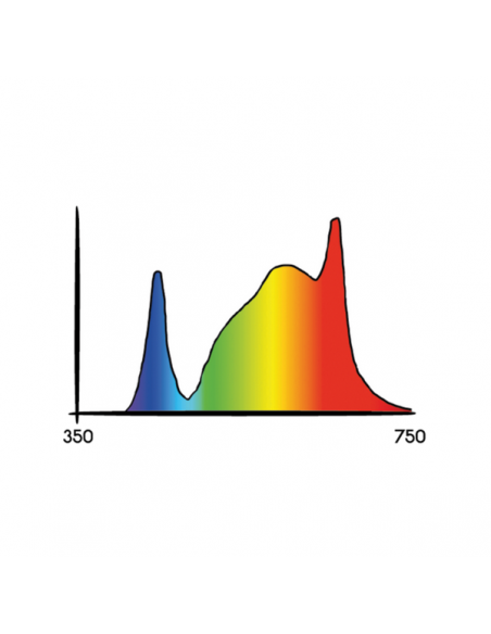 LED - Cosmorrow - Floraison (6500k) - 20W