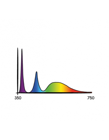 LED - Cosmorrow 2.7 - Ultra-violet - 20W