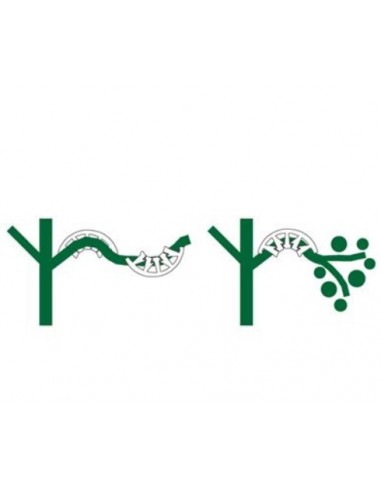 Plant Bends - Supports plantes x 50