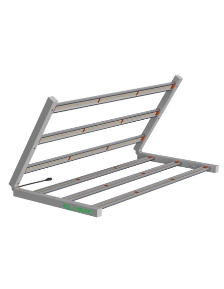 LED - LAZERLITE - 720W - Avec ballast