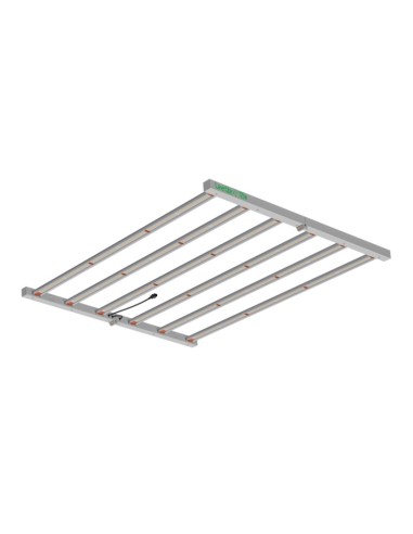 LED - LAZERLITE - 720W - Avec ballast