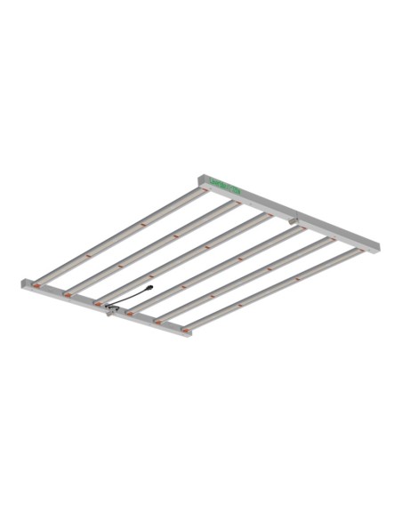 LED - LAZERLITE - 720W - Avec ballast