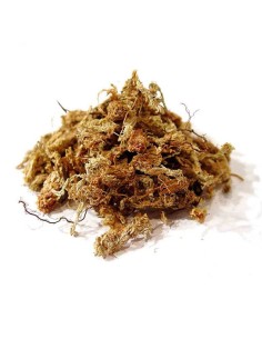 Sphaigne du chili 1kg RED