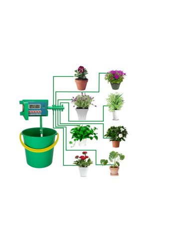 Système d'arrosage automatique - 10 plantes
