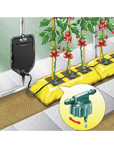 Big Drippa' - Arrosage automatique 6 plantes