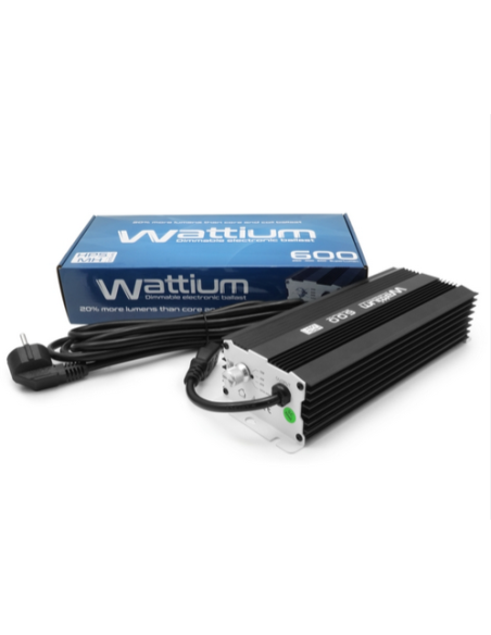 LED - LAZERLITE - 720W - Avec ballast