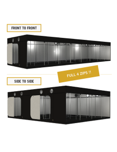 DARK ROOM INTENSE 600 R3.00 2