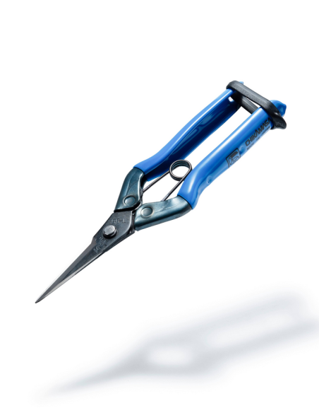 chikamasa T-552 lame droite chikamasa T-552 lame droite
