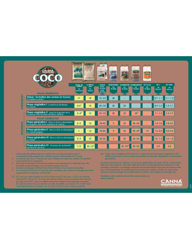 Schéma culture Canna Coco