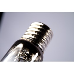 Ampoule ORTICA 250W HPS 2