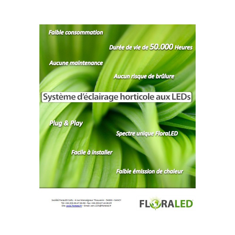 SpectraBULB 12 GROW FLORALED