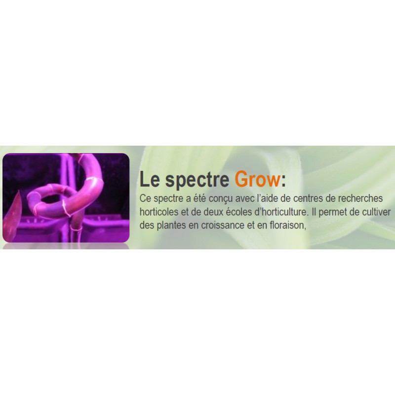 SpectraBULB 12 GROW FLORALED