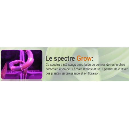 SpectraTUBE 20 GROW FLORALED