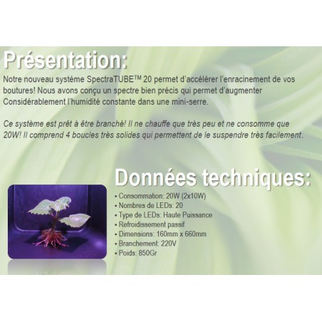 SpectraTUBE 20 GROW FLORALED