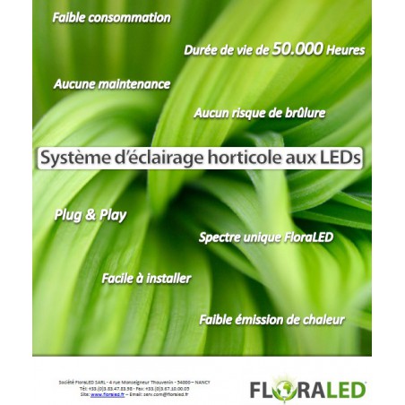 SpectraTUBE 20 GROW FLORALED