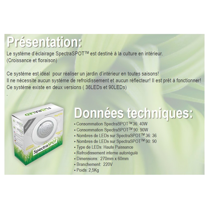 SpectraSPOT 36 VISUA FLORALED