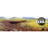 Terre
