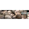 Fibre de coco