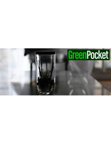 GreenPocket